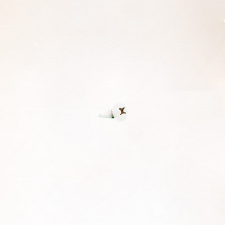 Tornillo Remates Blanco Pirineo