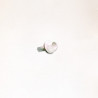 Tornillo Remates Blanco Pirineo FRONTAL 4.2x13