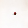 Tornillo Remates Rojo Marron FRONTAL 4,2x13