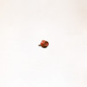 Tornillo Remates Rojo Marron REMATE 6.3x25